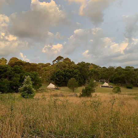 Iluka Retreat Glamping Village Red Hill South Buitenkant foto