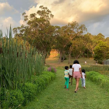 Iluka Retreat Glamping Village Red Hill South Buitenkant foto