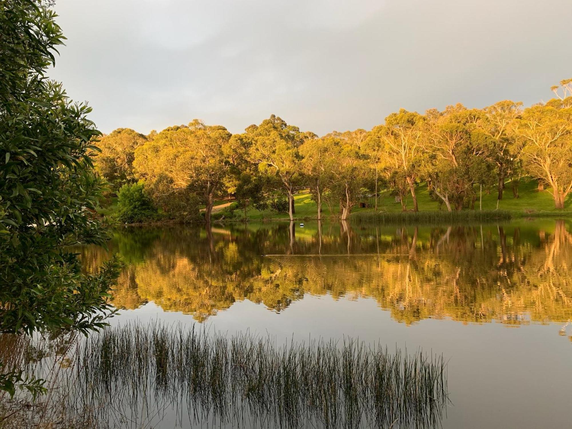 Iluka Retreat Glamping Village Red Hill South Buitenkant foto
