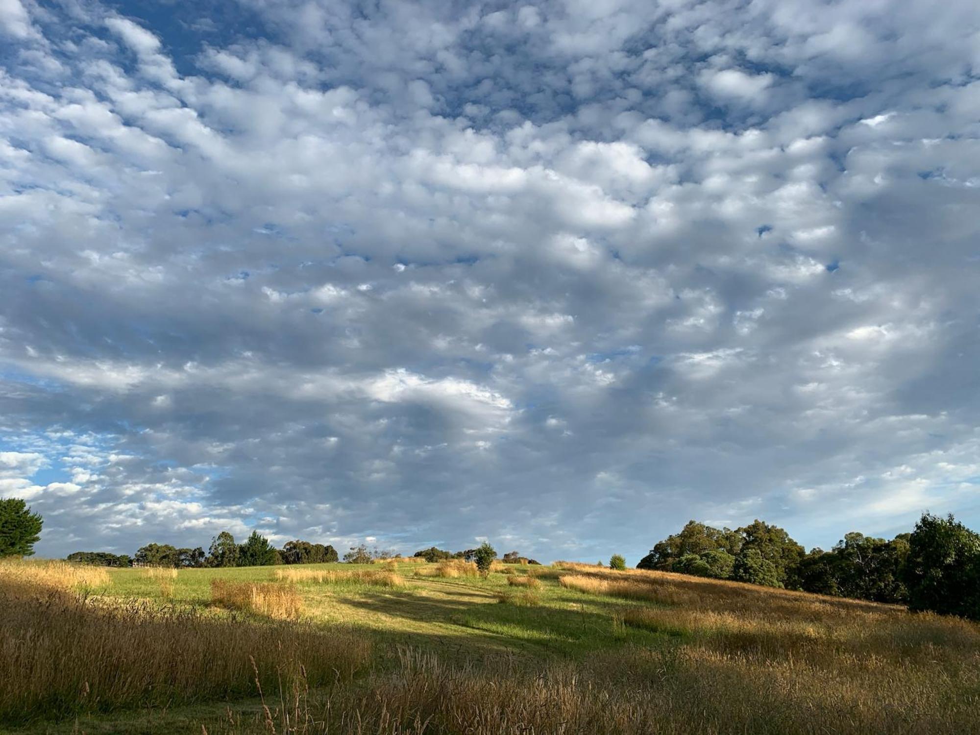 Iluka Retreat Glamping Village Red Hill South Buitenkant foto