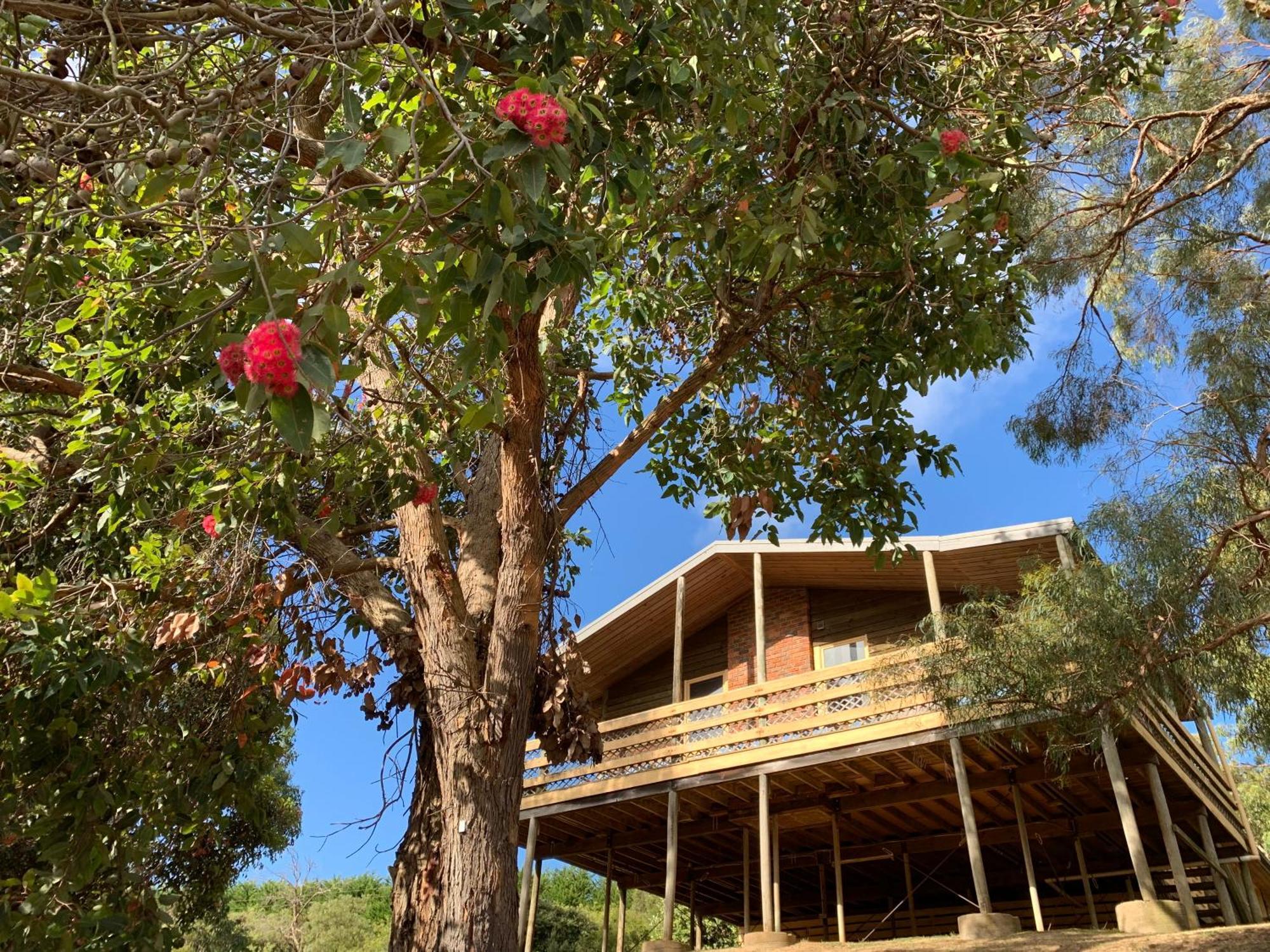 Iluka Retreat Glamping Village Red Hill South Buitenkant foto